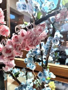 Au Garlaban, c’est toujours le printemps