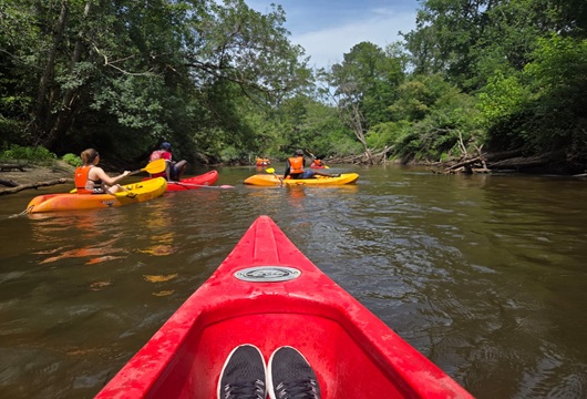 Kayak