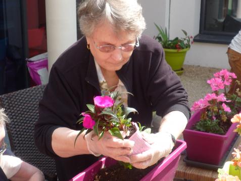 1 femme plante une fleur dans un bac rose