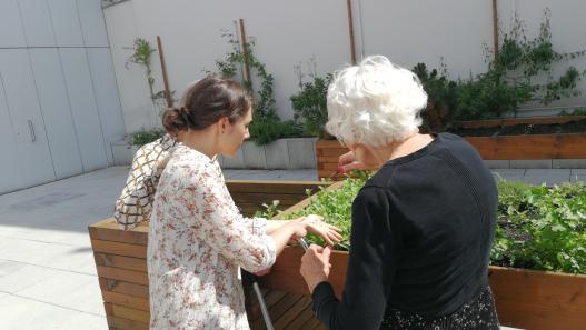 Activité de jardinage à la résidence COS Hospitalité Familiale