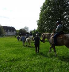 Approche et découverte du cheval avec initiation à l'équitation