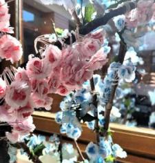 Au Garlaban, c’est toujours le printemps Au Garlaban, c’est toujours le printemps