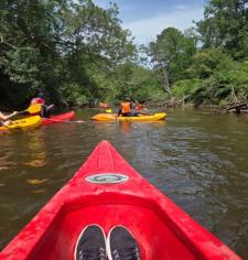 Kayak